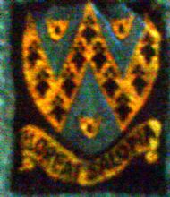 Floreat Salopia Guide County Badge